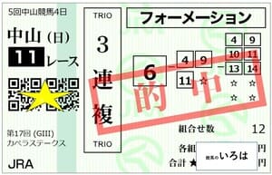 カペラステークス3連複241208